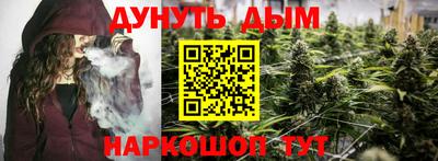 амф Новодвинск