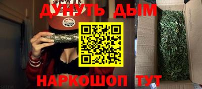 амф Новодвинск