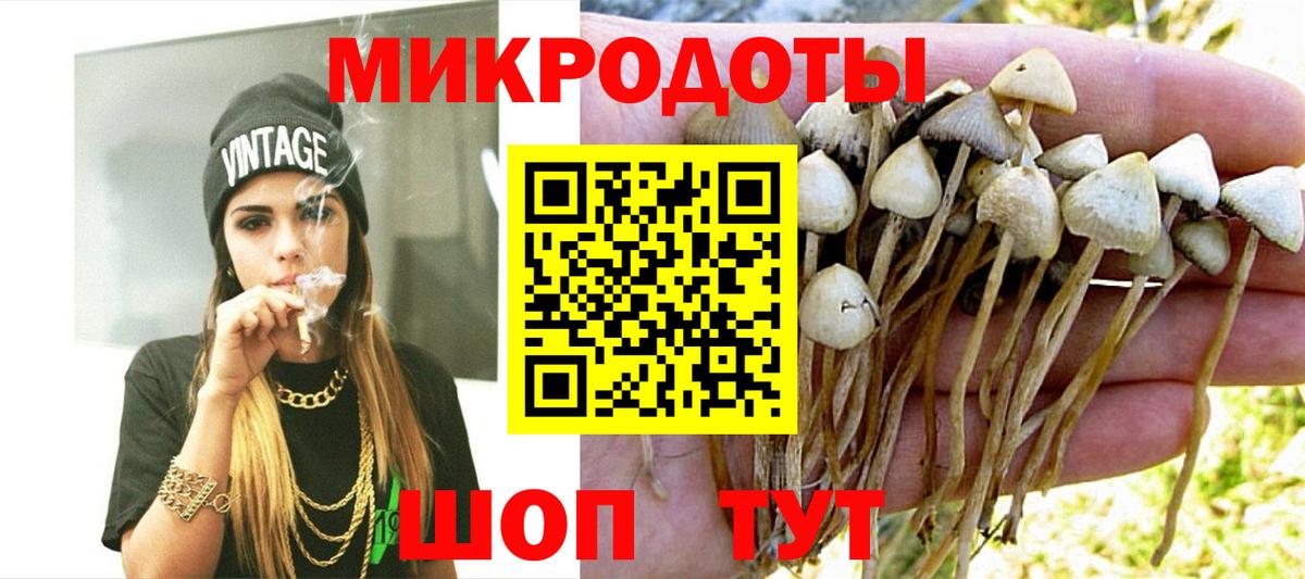где найти   Вход с VPN  Галлюциногенные грибы Cubensis  Хабаровск  Галлюциногенные грибы Magic Shrooms 